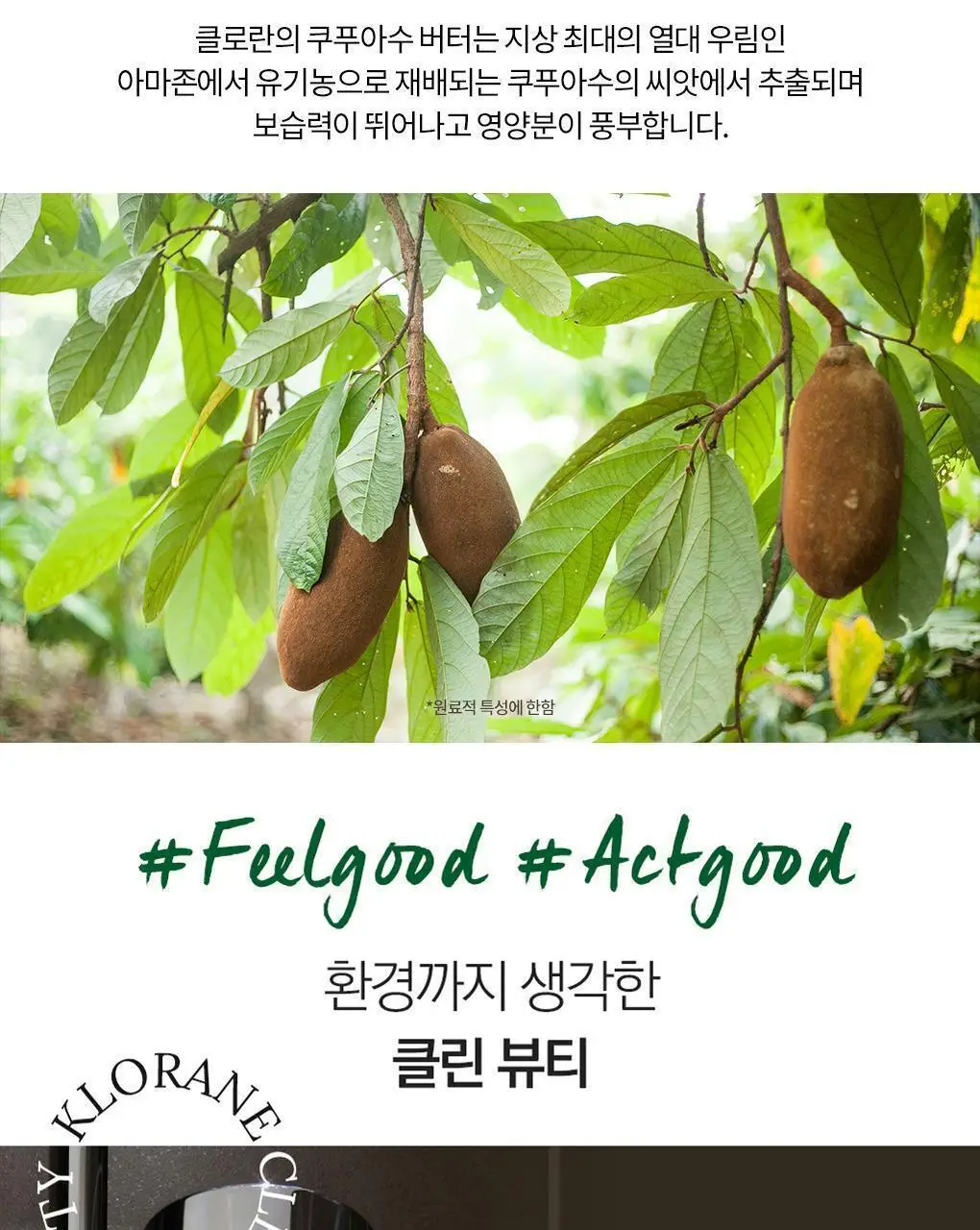 [극손상모발 & 스타일링] 클로란 쿠푸아수 버터 리페어 샴푸 400ml 상세페이지 22
